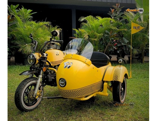 Sidecar Kit Moon Eyes Edition